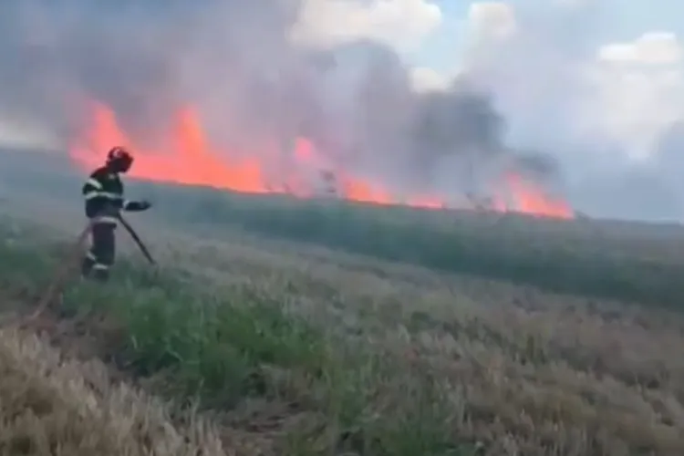 VIDEO. Incendiu puternic în Turda! Flăcările au mistuit un lan de grâu pe trei hectare, iar pompierii clujeni au intervenit pentru a salva o locuință