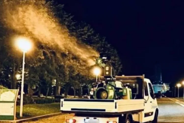 Locuitorii de pe o stradă din Cluj cer intervenția mai eficientă împotriva țânțarilor: „Mașina merge cu spatele, nu întoarce”/ Firma: „E stradă înfundată”