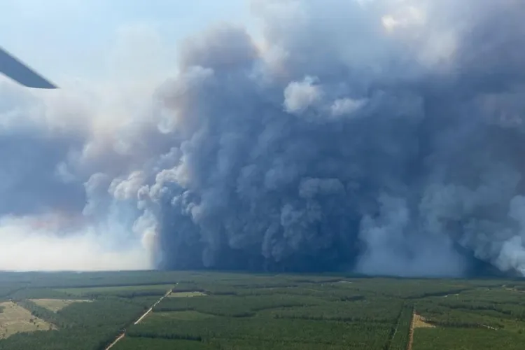 „Dragonii care scuipă foc” ai cerului. Fenomenul rar care poate transforma incendiile de vegetație într-un dezastru și în Europa: „Extrem de periculos!”