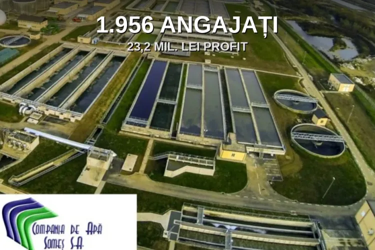 Analiză: Compania de Apă Someș, campioană la angajați, dar codașă la profit! Comparativ cu Iași, Timișoara, Craiova, Oradea și Sibiu e pe ultimul loc