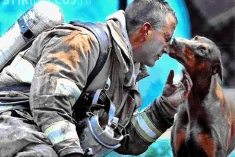 Un set de fotografii spectaculoase circula acum pe internet! Care credeti ca este cea mai reusita? Galerie FOTO