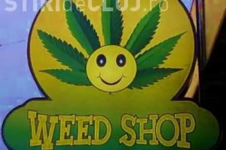 Patru magazine de vise inchise de inspectorii primariei clujene. Plante etnobotanice interzise nu au fost gasite