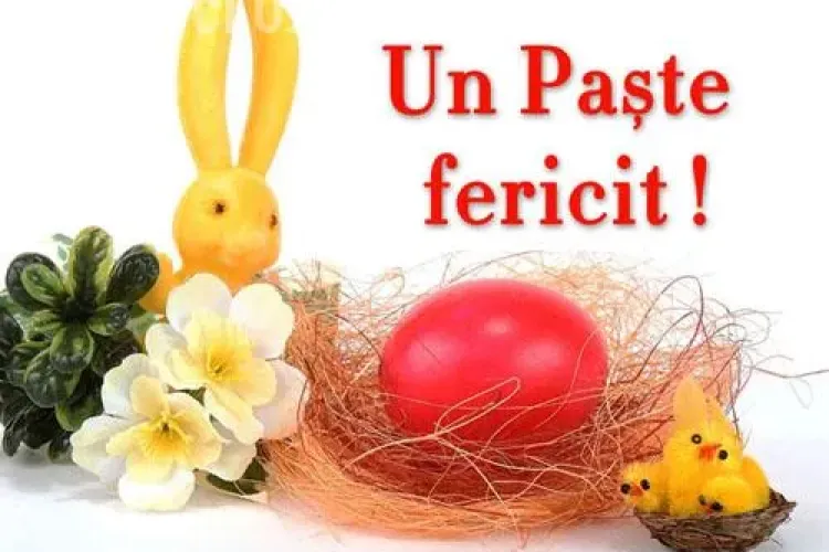 Stiri de Cluj  va ureaza Paste Fericit!