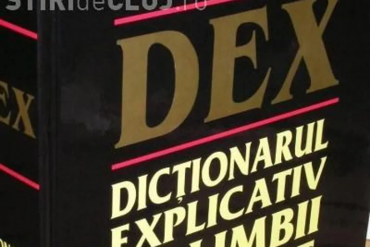 Academia Romana schimba DEX -ul: Cuvintele tigan si jidan au un caracter peiorativ si nu sunt recomandate