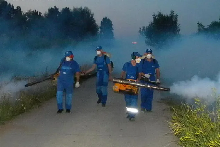 Incepe o noua campanie de dezinsectie la Cluj-Napoca!