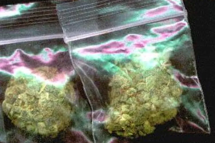 Trei tineri din Cluj-Napoca vindeau in oras cannabis primit din Spania prin posta! VIDEO