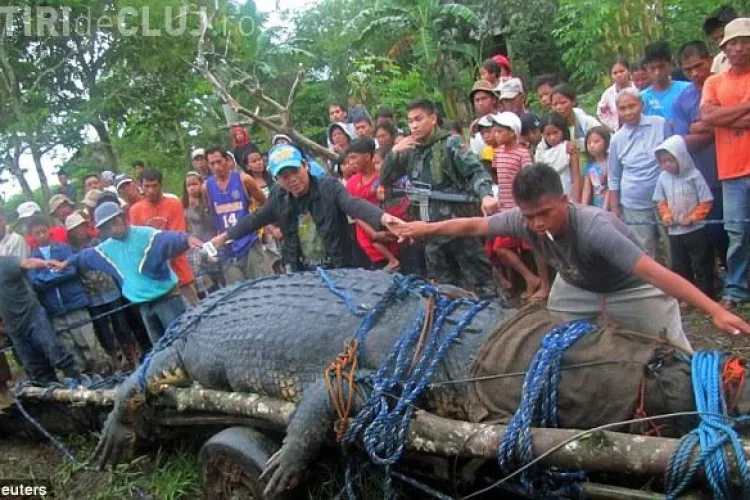 Asa arata cel mai mare crocodil din lume! VIDEO