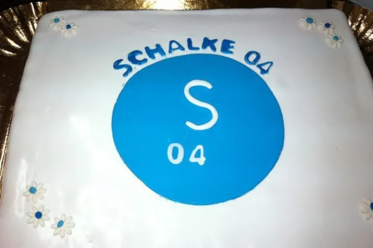 Dineu de lux la Lugano, inainte de meciul Steaua - Schalke! Vezi ce s-a mancat FOTO