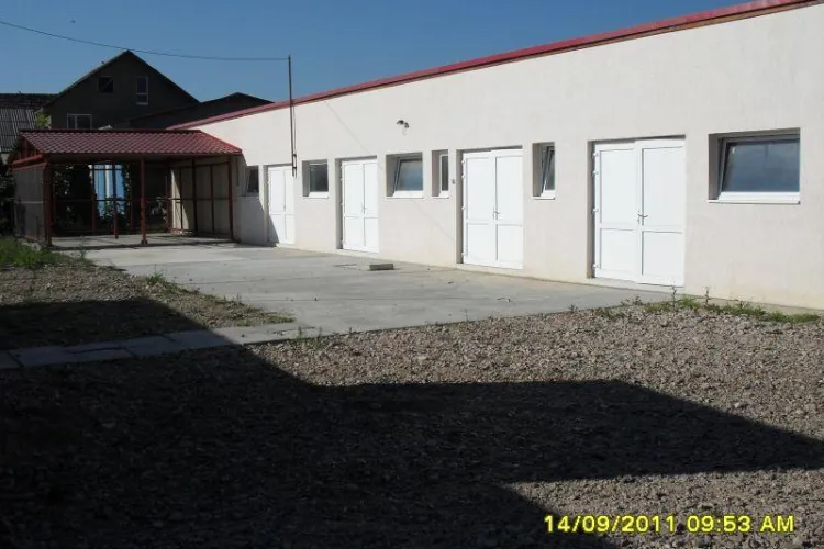 Caii tiganilor, confiscati pe strazile din Cluj-Napoca, vor fi "cazati" intr-un adapost ultramodern