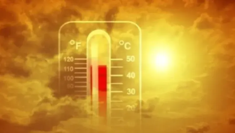 c3afebe61fd73fecabac2c76c393fea7.png
