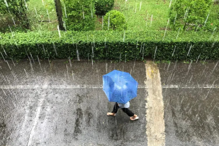 Scăpăm de ploaie astăzi? Cum arată prognoza meteo în Cluj-Napoca pentru ziua de sâmbătă