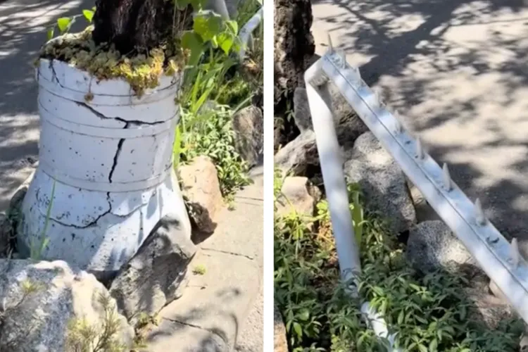 VIDEO. Capcană pentru bicicliști în Cluj-Napoca! Un gard cu țepi, montat chiar pe domeniul public, pune în pericol copiii din cartier: „Dacă pică un copil”