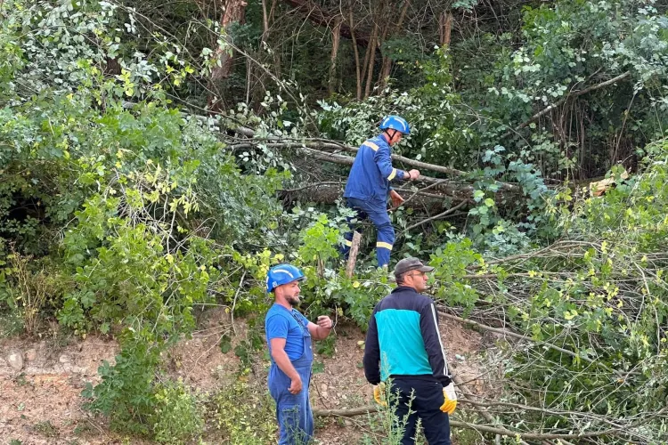 VIDEO. Electricieni din Cluj, trimiși de urgență în Apuseni: 120 de oameni au tăiat vegetația de lângă liniile electrice, pe un tronson de 18 kilometri