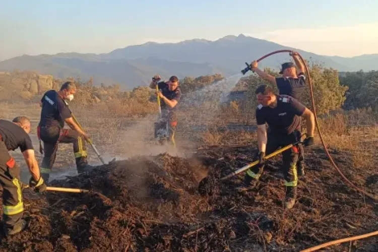 Apel urgent către clujeni: Nu dați foc vegetației uscate! Risc major de incendii și sancțiuni dure