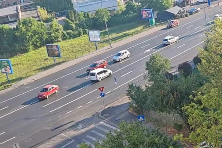 VIDEO Risc major de accident pe Calea Florești! Un clujean semnalează că pe o bandă se circulă în sens greșit, din cauza marcajelor insuficiente!