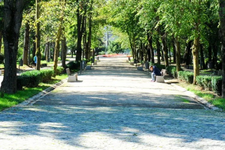 Probleme într-un parc din Cluj-Napoca. Mai multe bănci din lemn s-au rupt: „Au început să se destrame” 