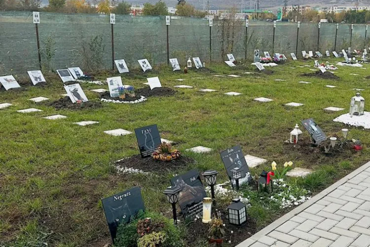 Vești bune pentru iubitorii de animale. Primăria a aprobat amenajarea unui cimitir pentru animale în Cluj-Napoca
