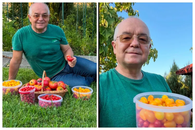Boc, tare mândru după ce și-a cules primele roșii din grădină: „Niciun magazin nu poate oferi această satisfacție”