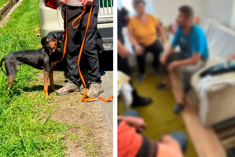 Final fericit: Clujeanul de 35 de ani căutat de voluntari și drone a fost găsit! Era dispărut de zile în șir și familia l-a căutat pe toate căile