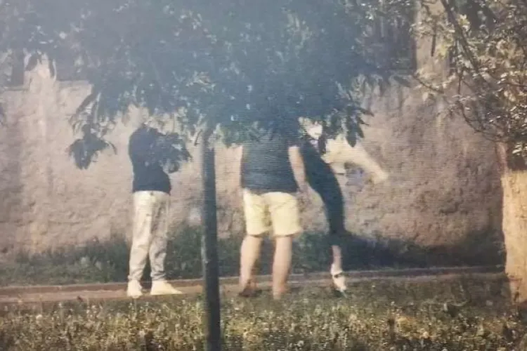 Chefuri noapte de noapte într-un parc din Cluj-Napoca: muzică la maximum, alcool și sticle aruncate. Copii sub 10 ani, lăsați nesupravegheați