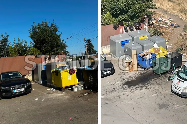 VIDEO. Probleme cu ghenele de gunoi lângă un bloc din Cluj? Gunoiul ajunge să fie împrăștiat pe locurile de parcare: „Trebuie ridicat mai des”
