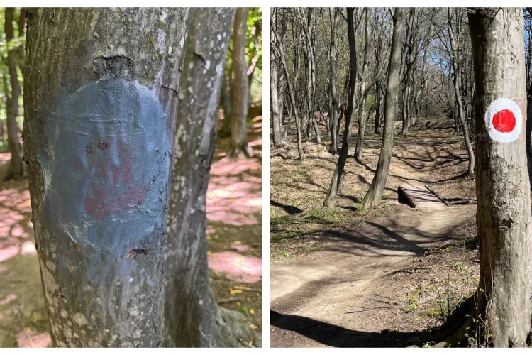 „Act de vandalism, absolut inutil!” Traseul pentru persoanele cu dizabilități din Făget va fi refăcut după ce a fost distrus de „binevoitori” 