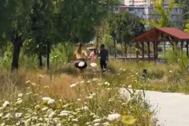 VIDEO. Întrebarea care i-a „măcinat” pe mii de clujeni are răspuns: De ce nu se taie iarba de pe malul Someșului. „Nu e pentru că nu avem bani”
