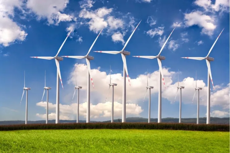 Cernavodă s-a oprit complet, dar România are o salvare: Vântul a produs peste 1.000 de megawați. Ce spune Ministerul Energiei despre zilele următoare