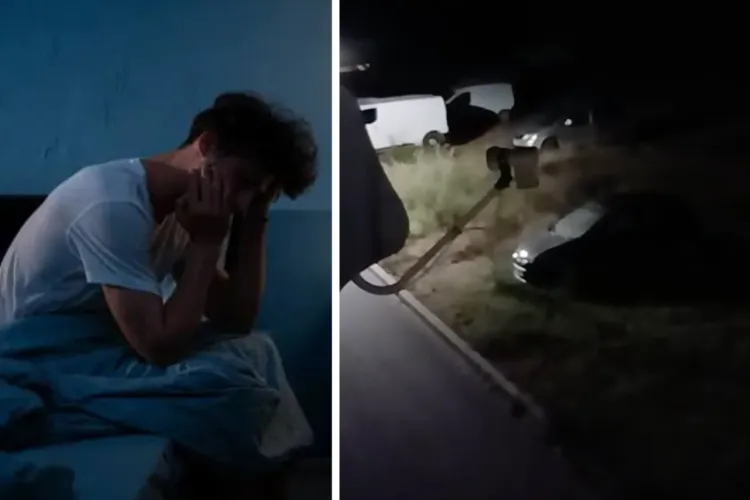 VIDEO. Sunete ciudate noaptea în Cluj: Urlete înfiorătoar la marginea pădurii, oamenii au închis geamurile și n-au mai dormit. „Toată noaptea a făcut așa”