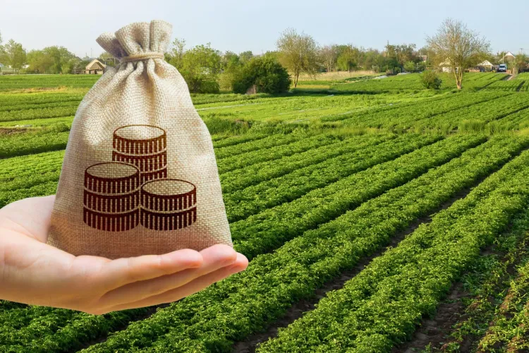 Vești uriașe pentru micii fermieri! Statul pune la bătaie 113 milioane de euro pentru ferme și floricultură. Cine poate primi până la 100.000 de euro