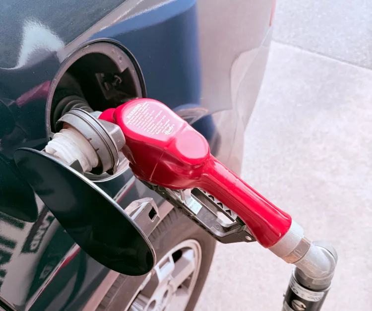 a331bde5ee40b802bd27bf4a35b247dd.jpg