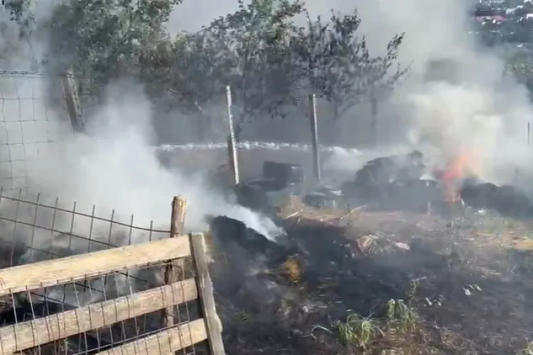 VIDEO. Focul a izbucnit în Cluj-Napoca! Trei autospeciale intervin pentru stingerea unui incendiu 