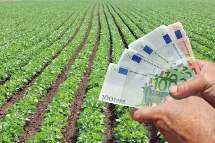 Peste 2,6 miliarde de euro au ajuns la fermieri! Aproape toți și-au primit banii, dar o parte au rămas cu conturile goale și nimeni nu spune de ce
