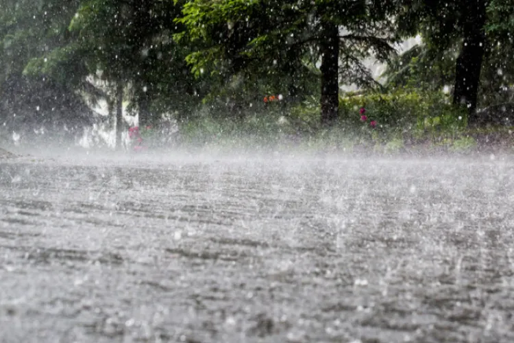 Vreme instabilă în Cluj. Transilvania, vizată de un cod galben de ploi și vijelii. Ce temperaturi ne așteaptă în weekend 