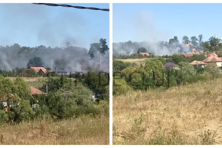 INCENDIU ÎN CLUJ! Vegetația uscată a luat foc la Mihăiești, iar flăcările amenințau o anexă. Pompierii intervin de urgență