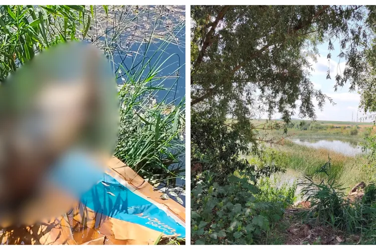 Gest inconștient. Cadavrul unui porc, aruncat într-un lac de pescuit din Cluj. Focarele de pestă porcină au explodat în ultima perioadă