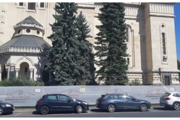 Scandal în centrul Clujului! Se cere protejarea copacilor din jurul Catedralei Ortodoxe și din Piața Avram Iancu: „Nu mai avem nevoie de zone pavate”