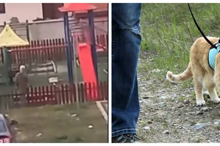 VIDEO. Scandal la un loc de joacă. Un bărbat își duce pisica să își facă nevoile în nisipul copiilor: „A început să miroasă a fecale. Puțin respect”