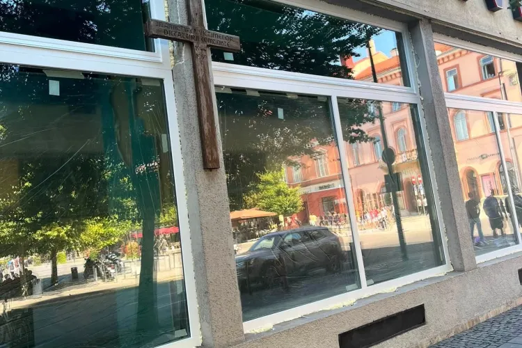Adevărul despre geamurile de la Librăria Universității din Cluj-Napoca: Ce a găsit, de fapt, sub tâmplărie instituția care a dat avizul pentru lucrare