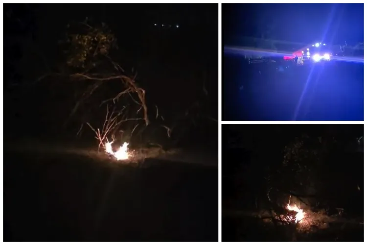 VIDEO. Focarele de incendiu au reapărut în livada de pe strada Spicului din Cluj-Napoca. Locuitorii sunt în alertă: „În pericol este zona dinspre case”