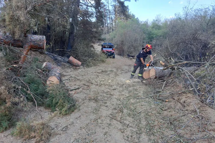 NOAPTE DE COȘMAR ÎN MIJLOCUL INCENDIILOR! Pompierii români au rămas în prima linie și continuă lupta cu flăcările FOTO 