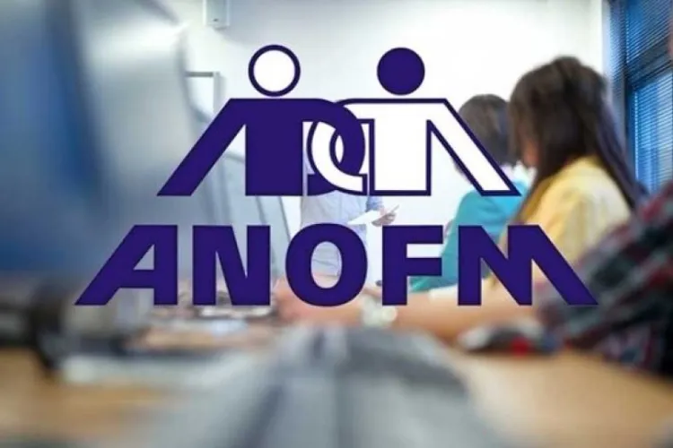 Clujul, județul cu cele mai multe locuri de muncă din România: Aproape 4 mii de posturi libere chiar acum, iar peste jumătate se dau fără să ai vreo școală