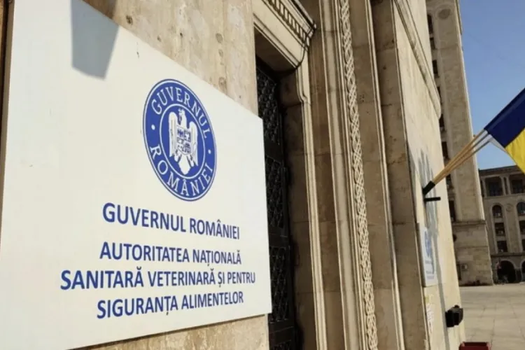 Două tone de mâncare, aruncate din restaurante după ce inspectorii au intrat în bucătării: Amenzi de aproape 3 milioane de lei și zeci de localuri închise