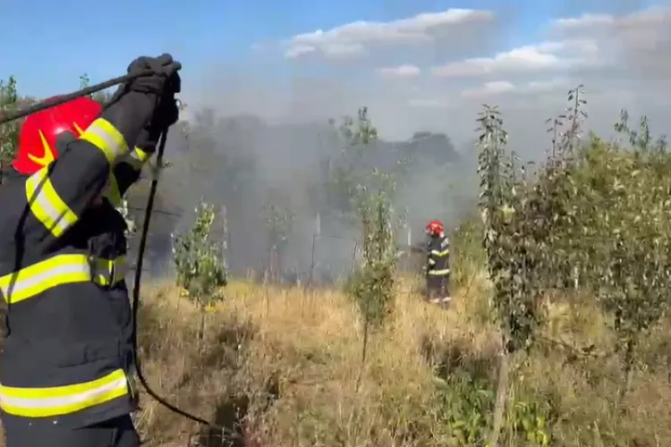 VIDEO. Incendiu puternic în Cluj-Napoca! Flăcările au cuprins 4 hectare de livadă și amenințau casele din apropiere