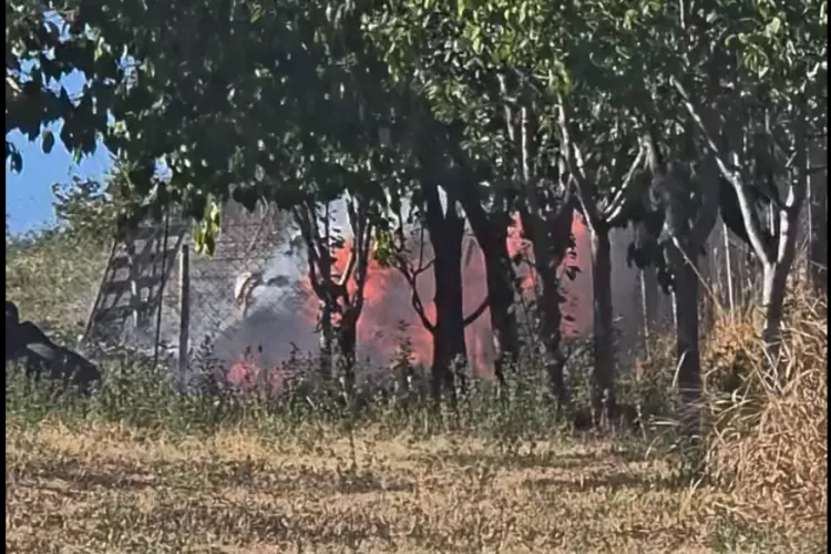 VIDEO. A luat foc o livadă din Cluj-Napoca. Localnicii au cerut disperați ajutor, când incendiul mistuia tot: „Avem nevoie de ajutor!”