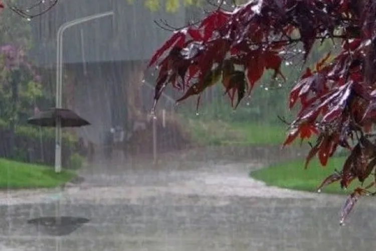 Ploi, vijelii și grindină în următoarele zile. Vremea se schimbă brusc în Cluj, dar și în restul țării. Când apar primele precipitații