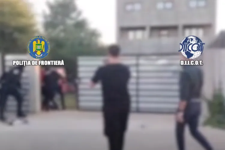 VIDEO. „Fabrică” de substanțe interzise descoperită de anchetatori. Peste 90 de plante și zeci de kilograme de cannabis au fost descoperite