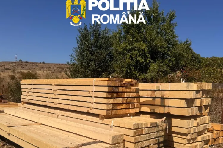 Lovitură pentru un operator de lemn din Cluj-Napoca! Polițiștii au găsit o diferență de peste 17 metri cubi de material lemnos