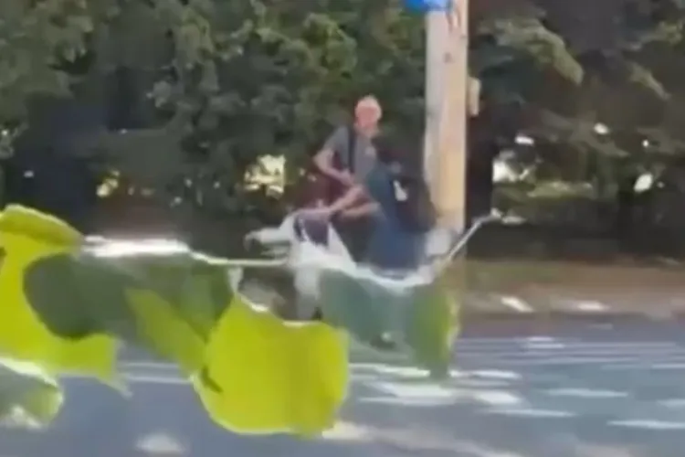 VIDEO. „Doamna roșcată” în scaunul cu rotile provoacă din nou controverse: O mamă a ajuns să-și lase căruciorul cu copilul pentru a o ajuta să traverseze