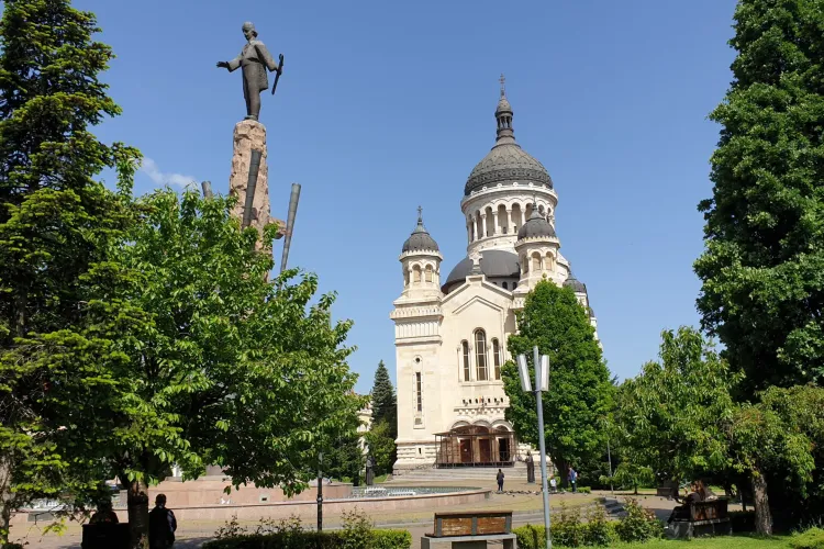 Controverse pe tema arborilor din centrul Clujului. Un clujean suspină după copacii din „Unirii” și încearcă salvarea celor din „Avram Iancu”